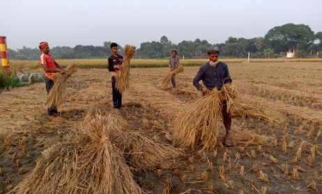 বিলুপ্তির পথে নবান্নের সেই দিনগুলি